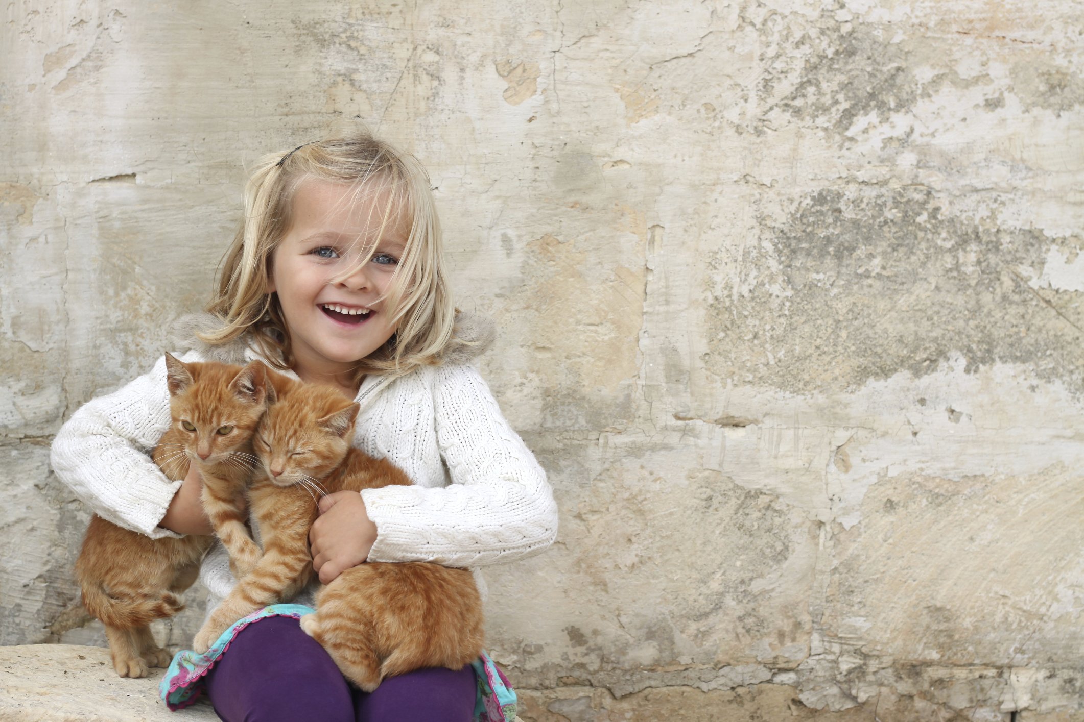 little girl with kittens