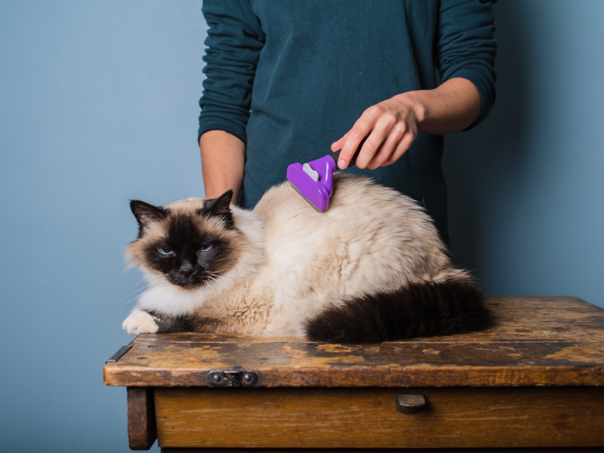 cat comb for matted hair