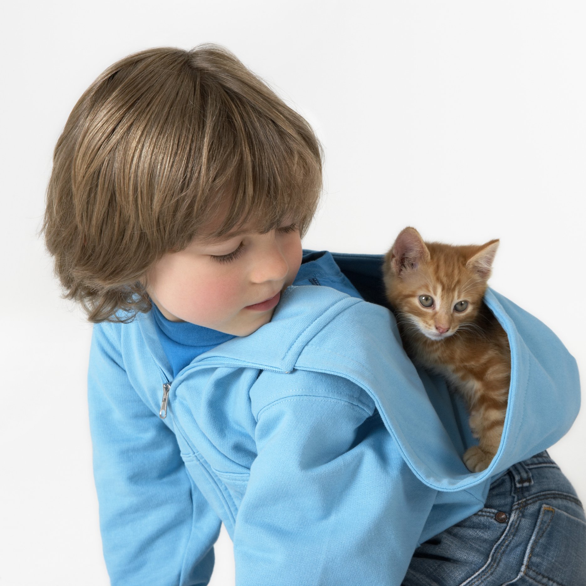 kids and kittens