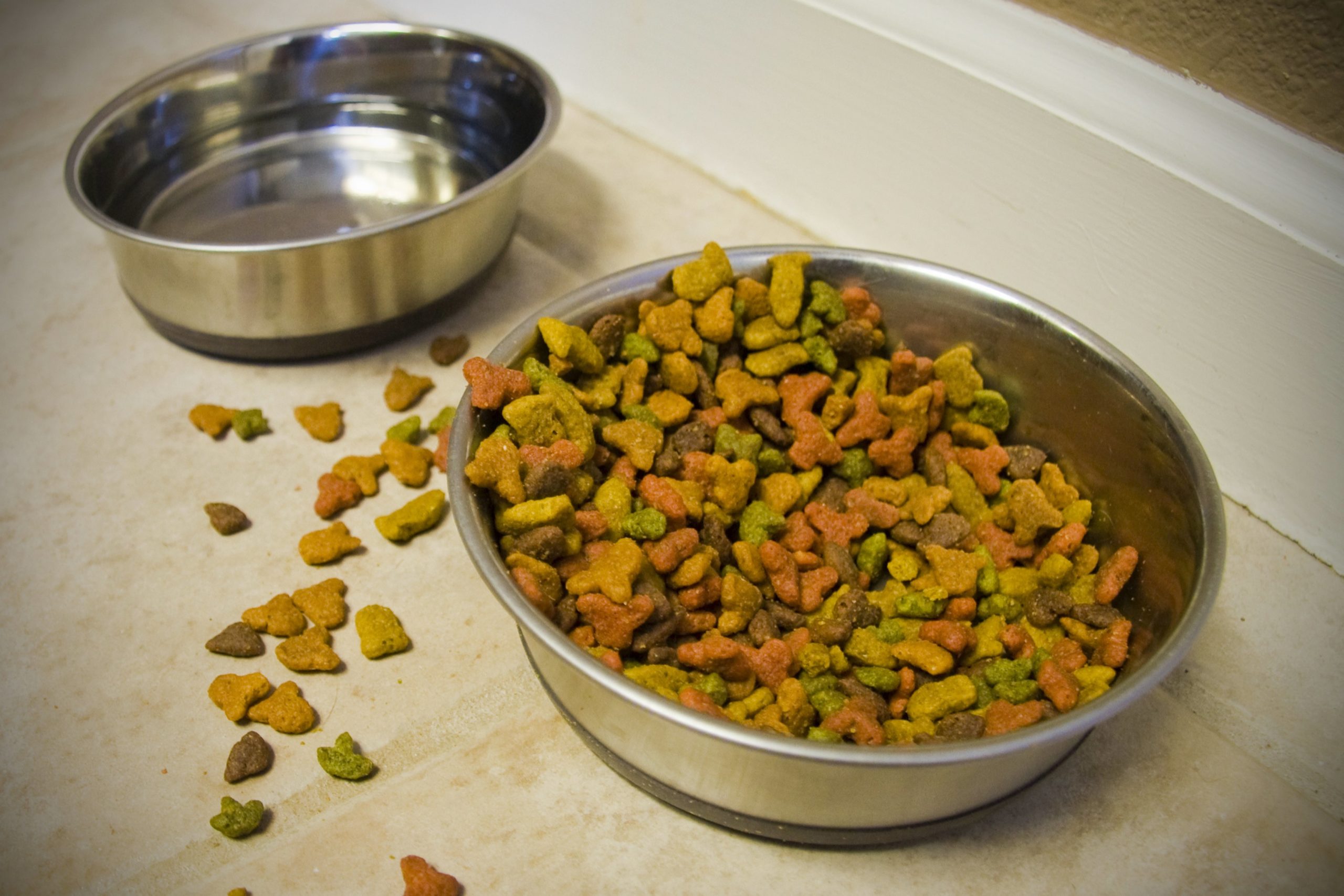 Cooking for cats with hotsell kidney disease