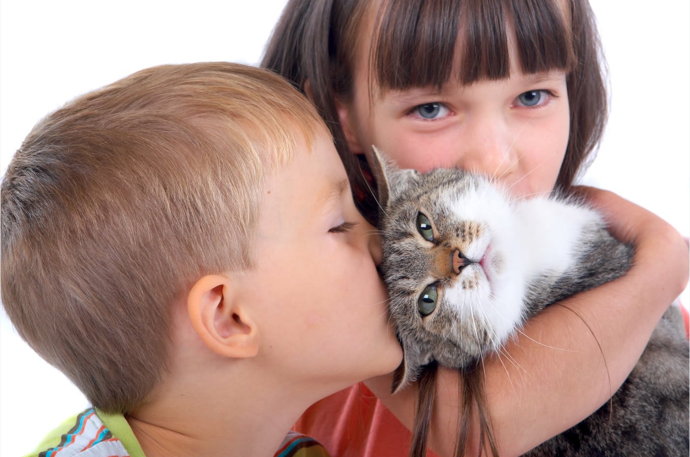 Cat and kids