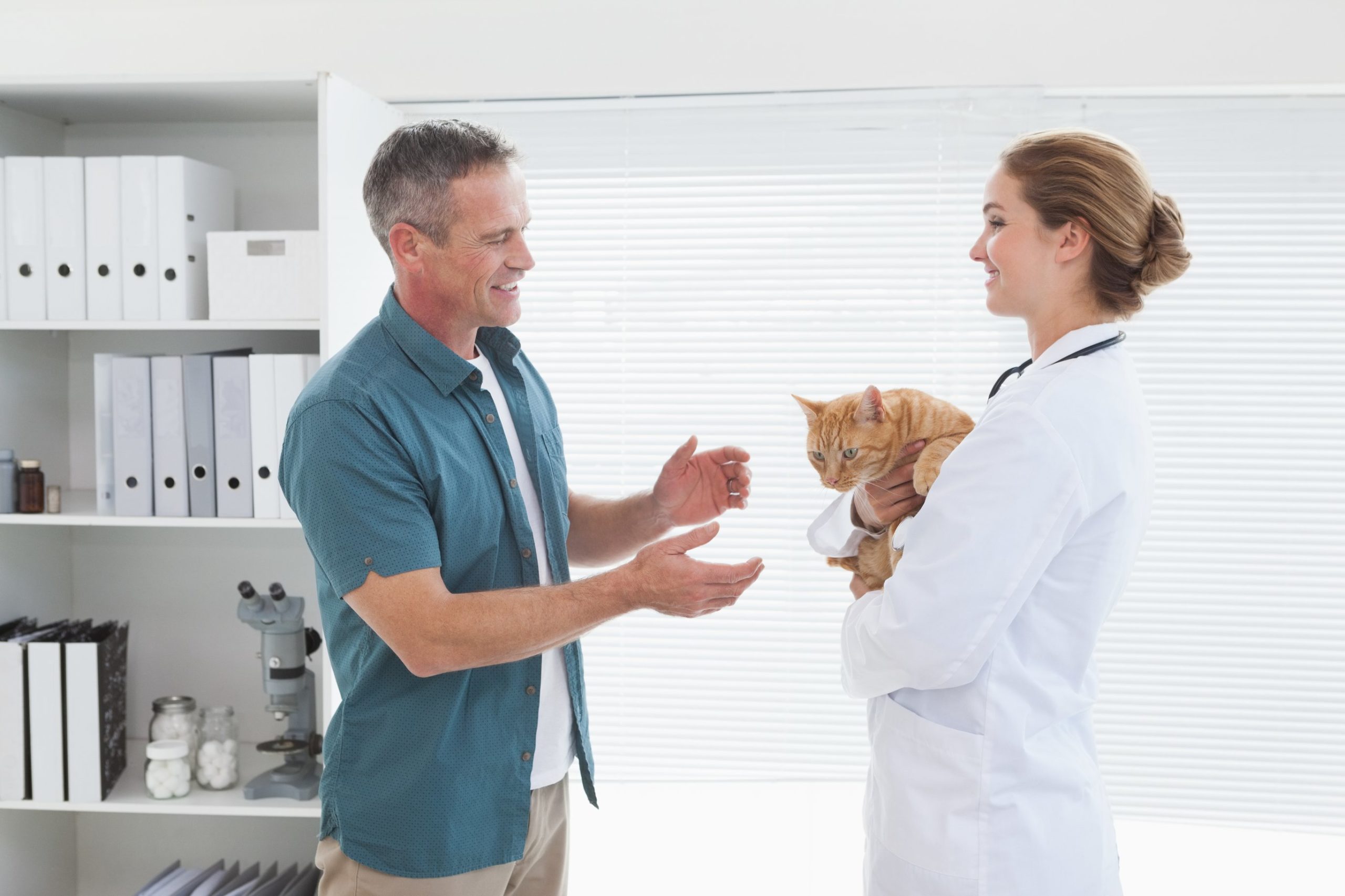 Mood-Stabilizing Medications for cats