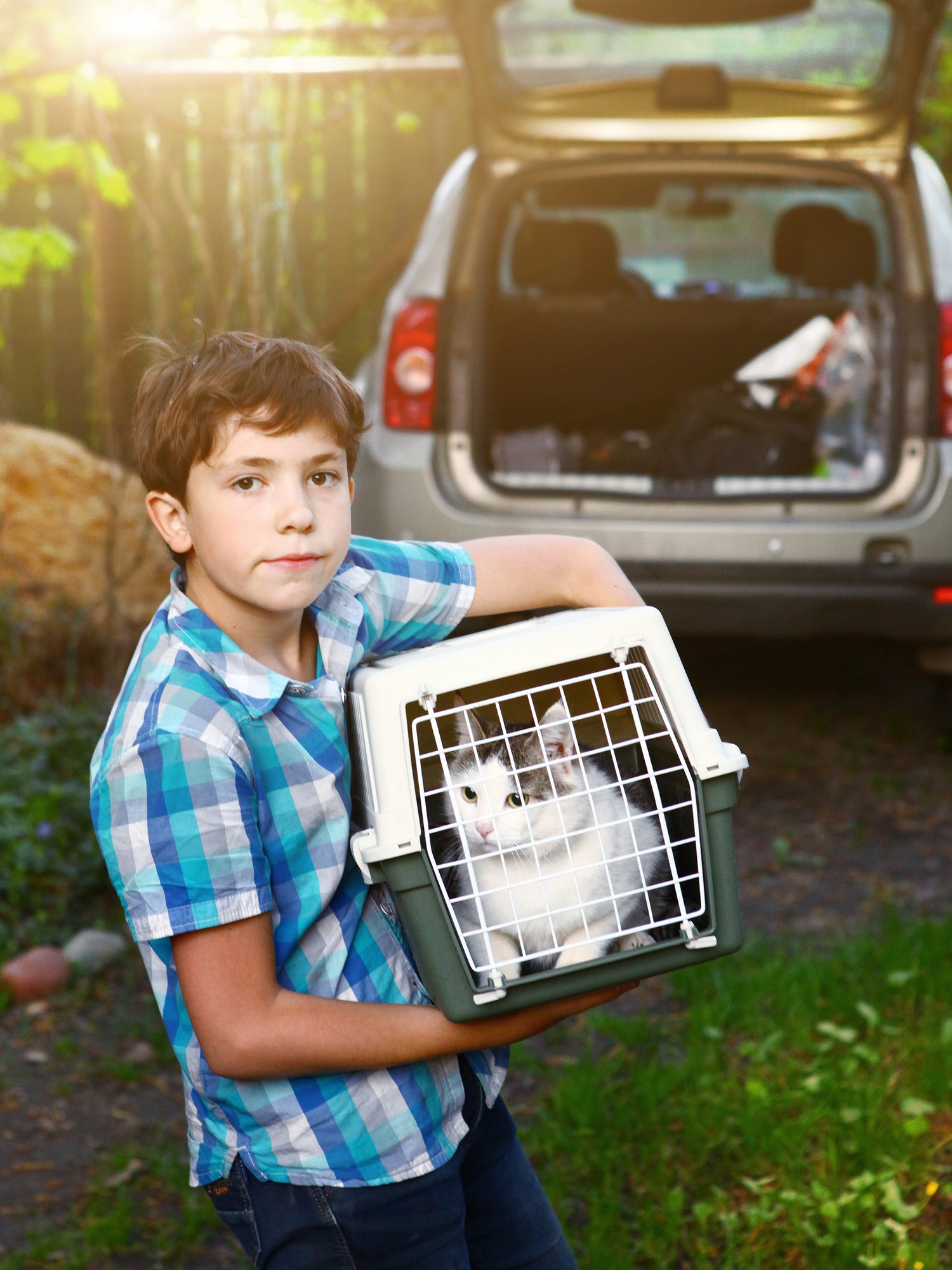 Cat with owner