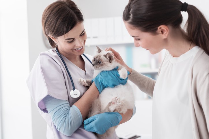 Veterinarian