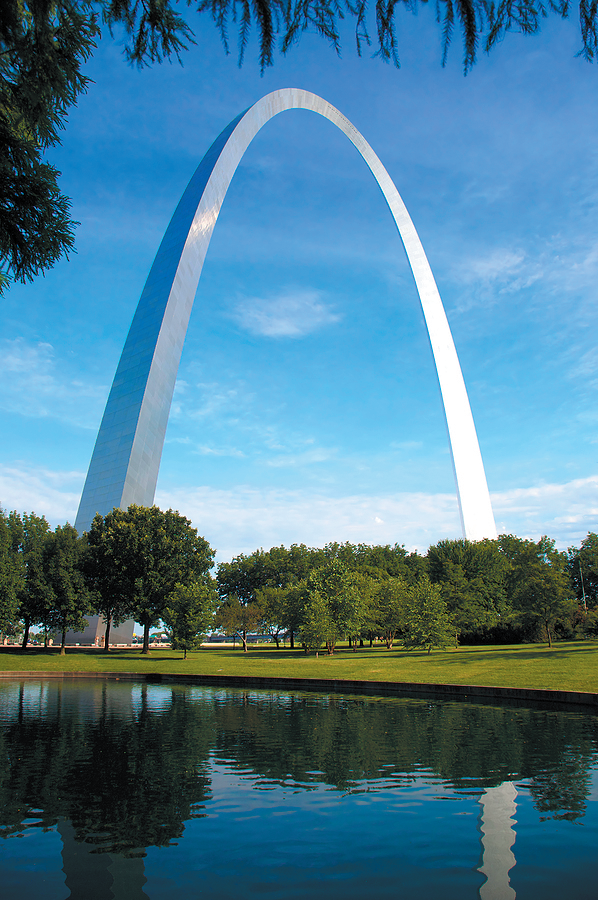 St. Louis is one of America’s top 10 cat-friendly cities.