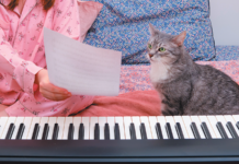 He can’t learn to read music, but you can still teach him a lot of other fun tricks. 
