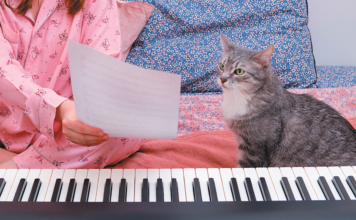 He can’t learn to read music, but you can still teach him a lot of other fun tricks. 