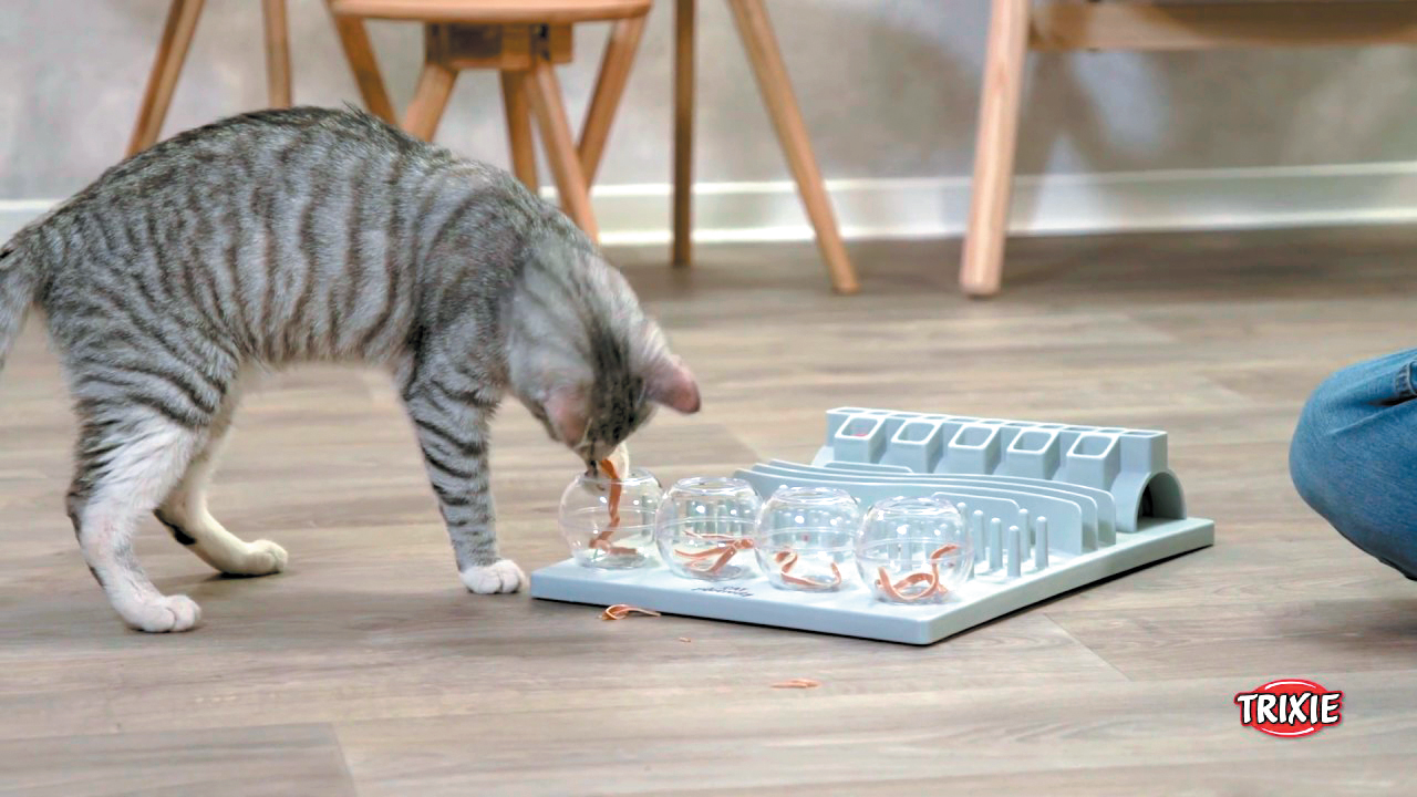 Ice, Ice Baby! - Food Puzzles for Cats