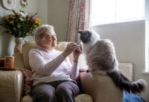 Senior Woman and her Pet Cat