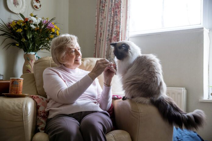 Senior Woman and her Pet Cat