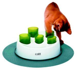 Melon Madness Treat Dispensing Cat Toy