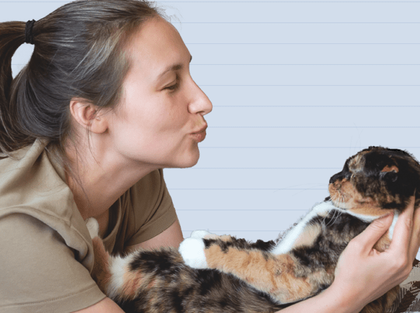 baby-talk-do-cats-like-it-tufts-catnip